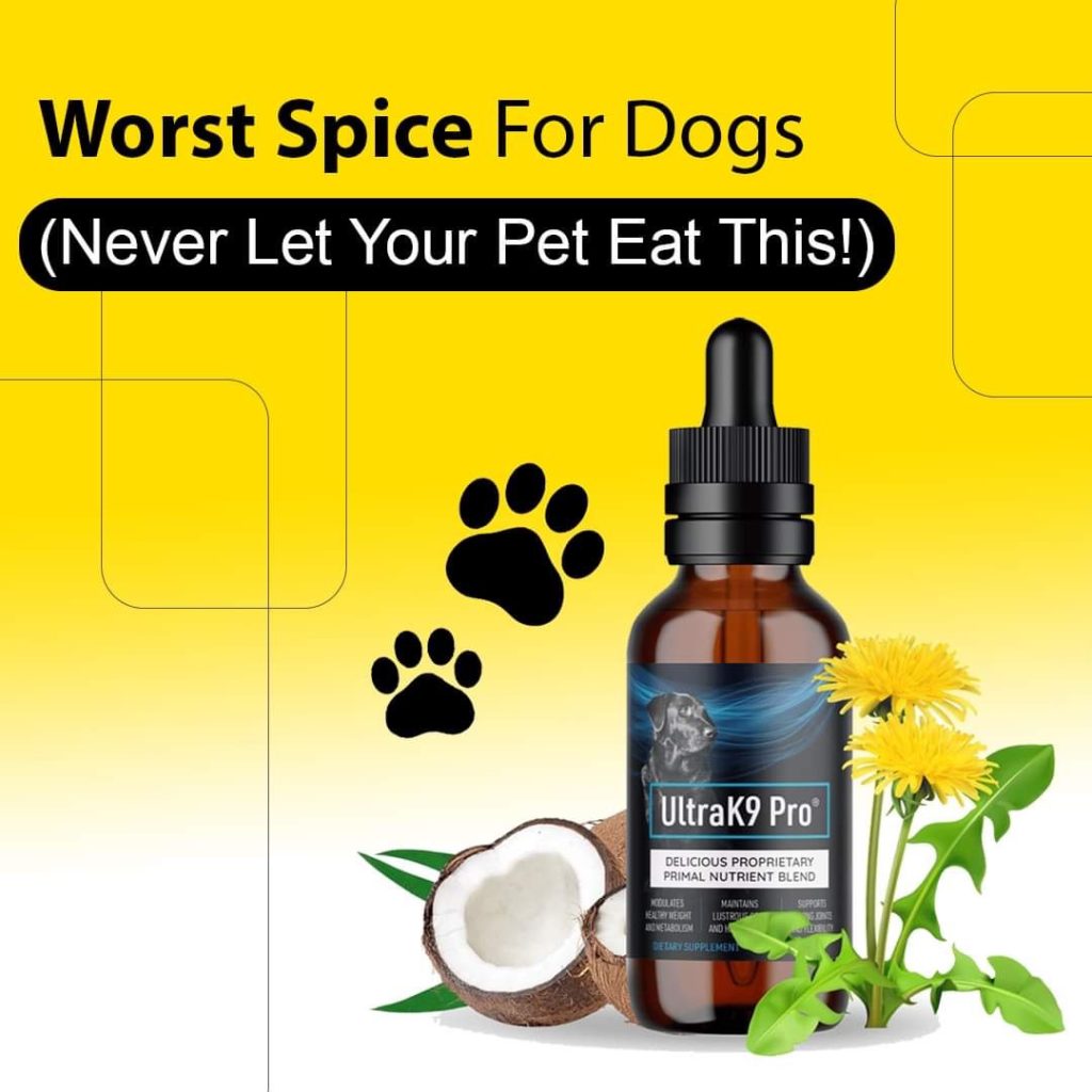 These Primal Nutrients
Support A Healthy Happy Dog