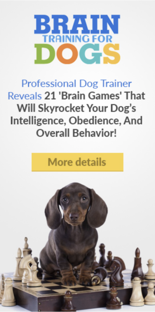 Brain Training for Dogs