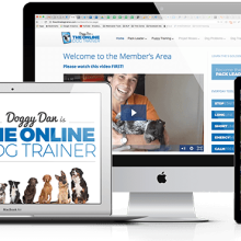 The Online Dog Trainer