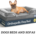 Dogs Beds